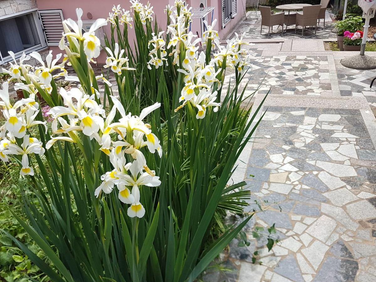Apartments Ella Ровінь Екстер'єр фото